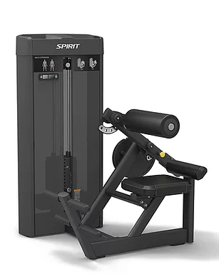 Spirit Fitness SP-4310 Back Extension