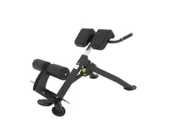 Spirit SP-4220 Back Extension