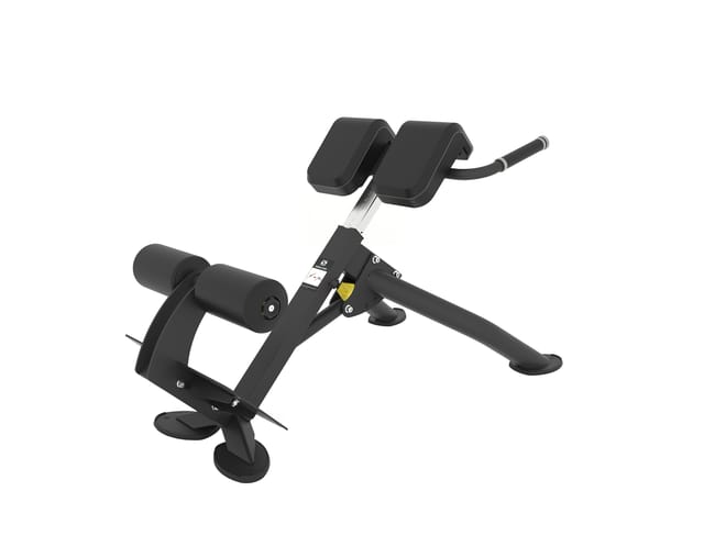 Spirit SP-4220 Back Extension