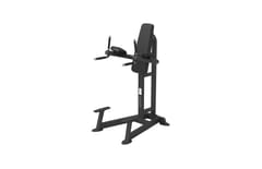 Spirit SP-4215 Leg Raise / Dip