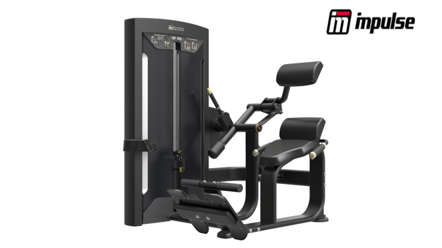 Impulse FE9732 Back Extension