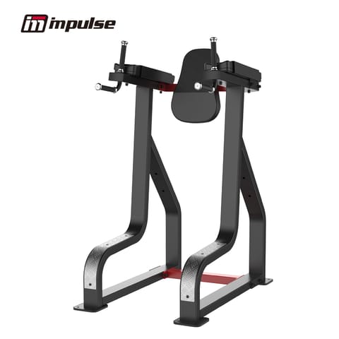 Impulse SL7045 Vertical Knee Raise/Dip Stand