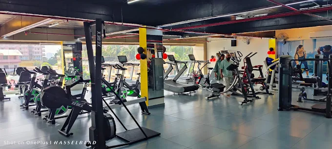 Chennai Treadmill Sales & Service Centre Call 044 42148320 / 9962524187