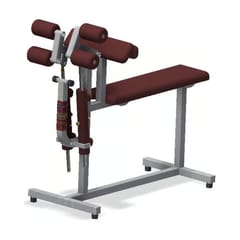 EXER-GYM Biceps / Triceps