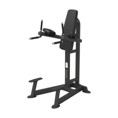 Spirit Fitness SP-4215 Leg Raise / Dip Spirit Fitness SP-4215 Leg Raise / Dip