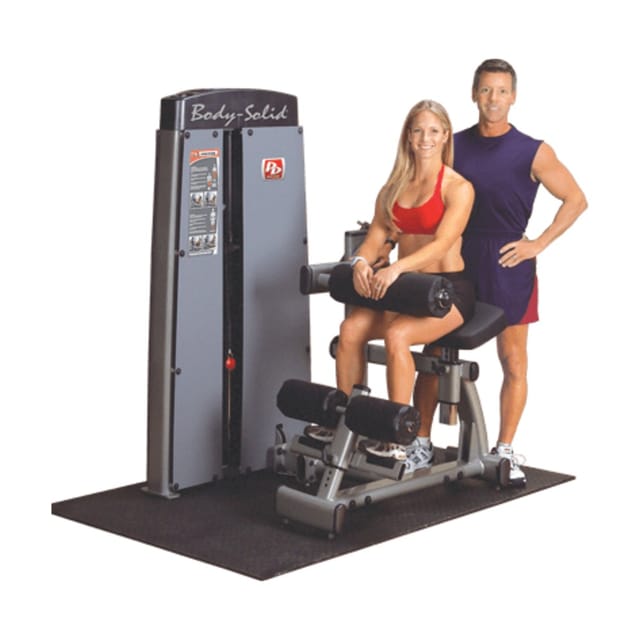 Body Solid Pro Dual Ab and Back Machine DABB-SF
