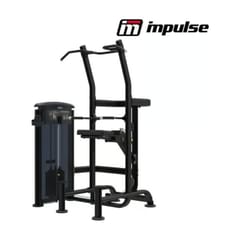 Impulse IT9520 Weight Assisted Chin/Dip Combo Impulse IT9520 Weight Assisted Chin/Dip Combo